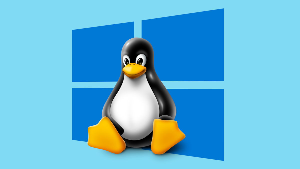 End of Windows 10 boosts Linux among gamers