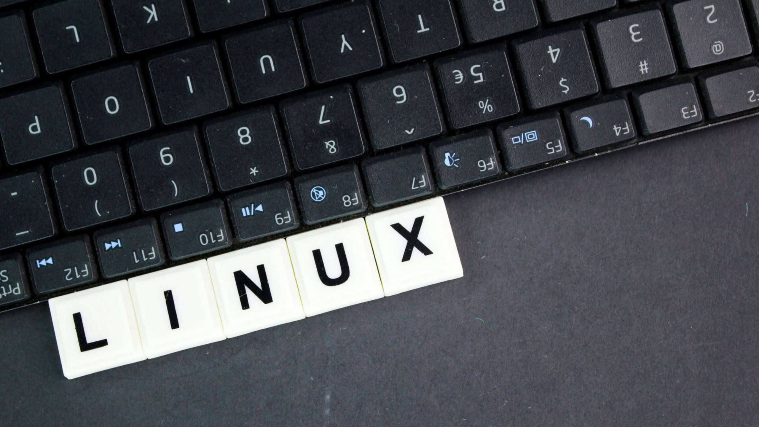 7 Linux Distros to Replace Windows 10 and 11